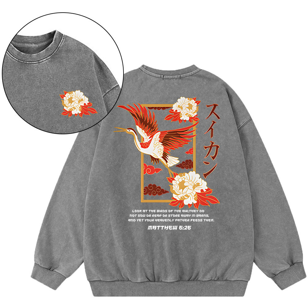 Look At The Birds Christian Washed Sweatshirt