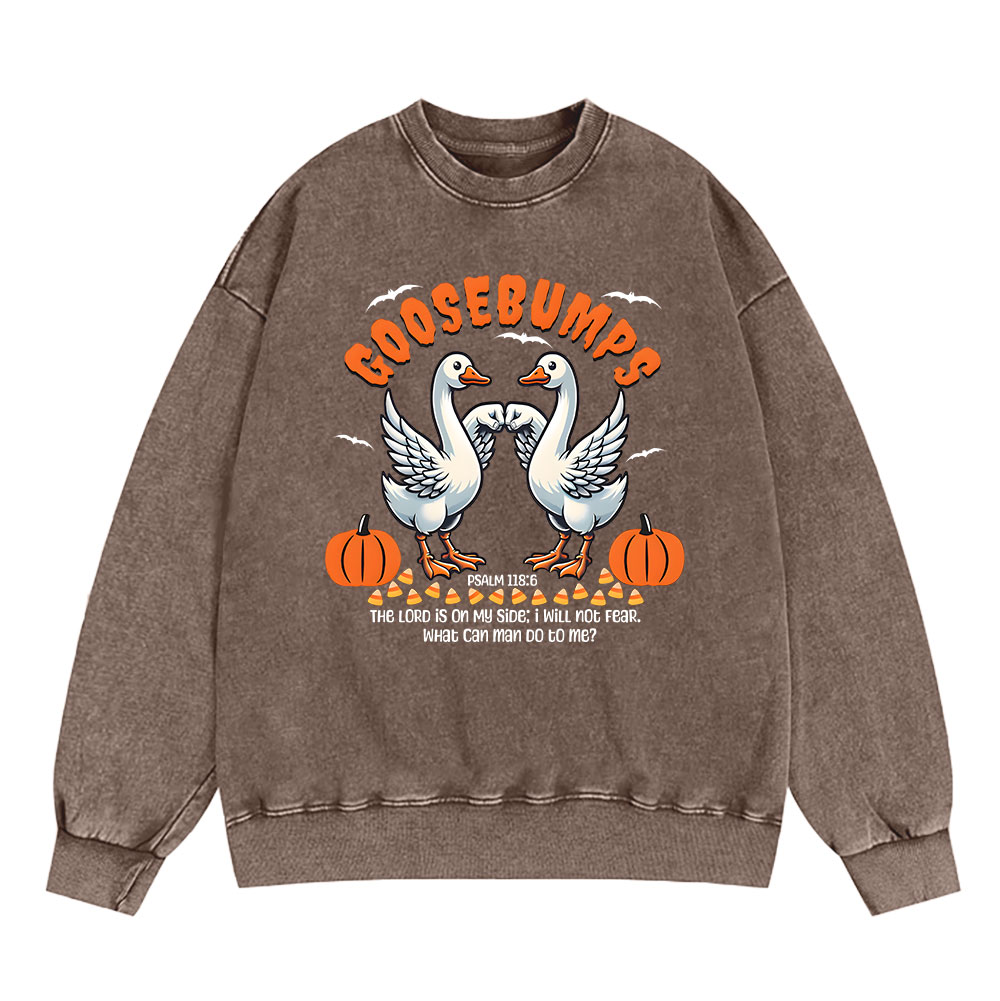 Goosebumps Christian Washed Sweatshirt