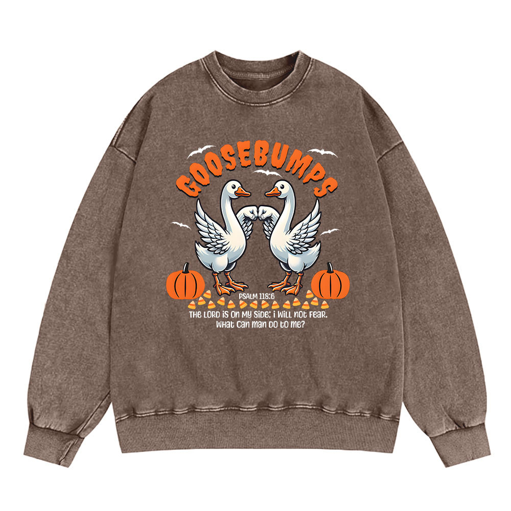 Goosebumps Christian Washed Sweatshirt