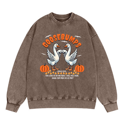 Goosebumps Christian Washed Sweatshirt