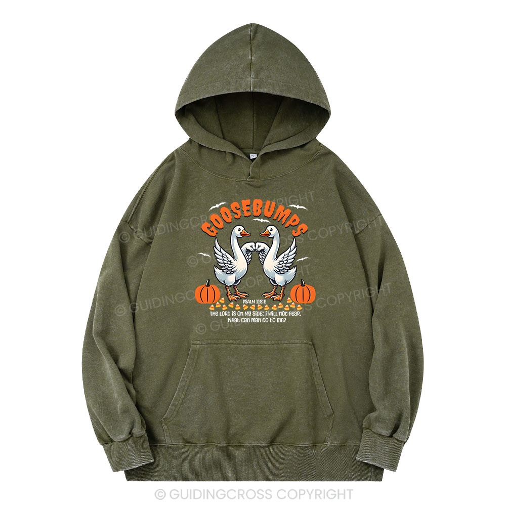 Goosebumps Christian Washed Hoodie