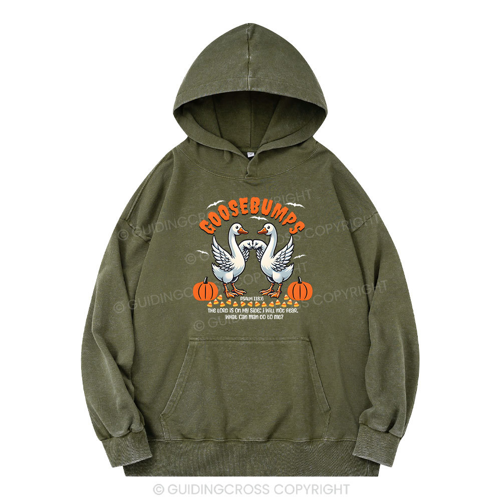 Goosebumps Christian Washed Hoodie