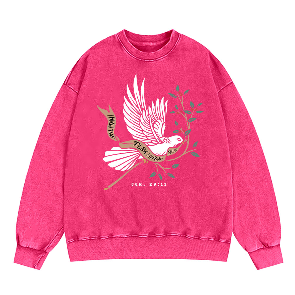 I Know The Plans I Have For You Christian Washed Sweatshirt