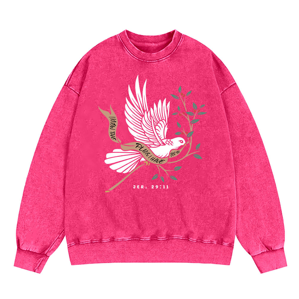 I Know The Plans I Have For You Christian Washed Sweatshirt