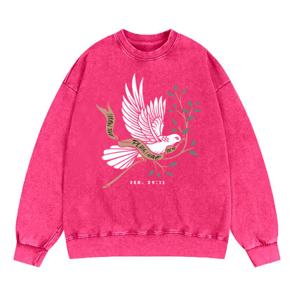 I Know The Plans I Have For You Christian Washed Sweatshirt