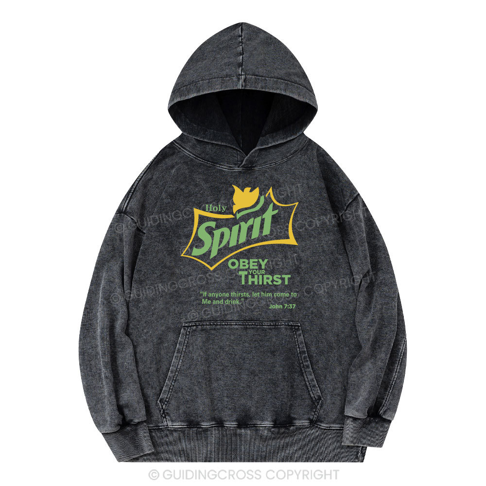 Holy Spirit Christian Washed Hoodie