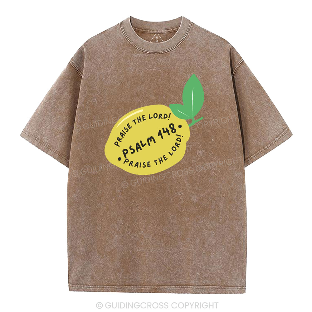 Praise The Lord Christian Washed T-Shirt