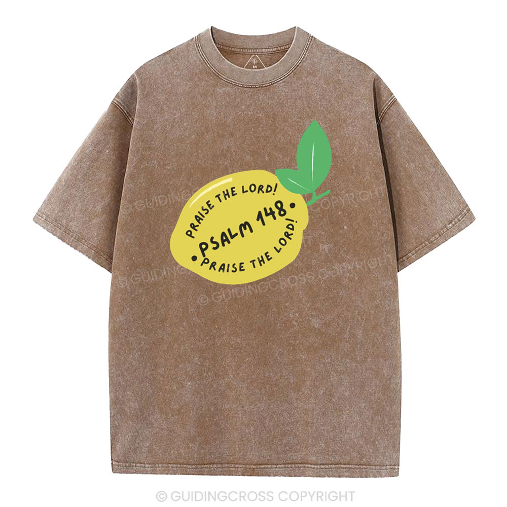 Praise The Lord Christian Washed T-Shirt