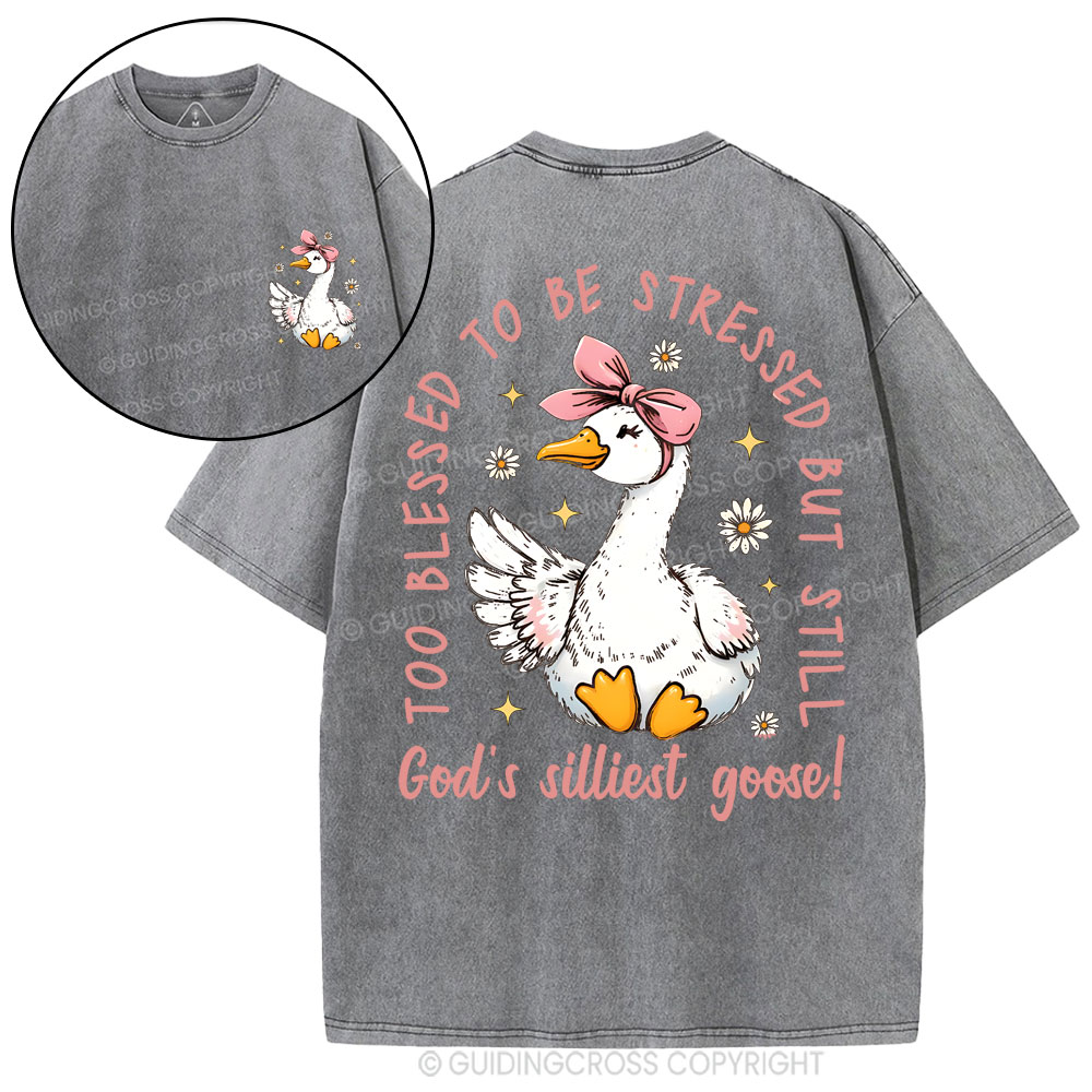 God's Silliest Goose Christian Washed T-Shirt