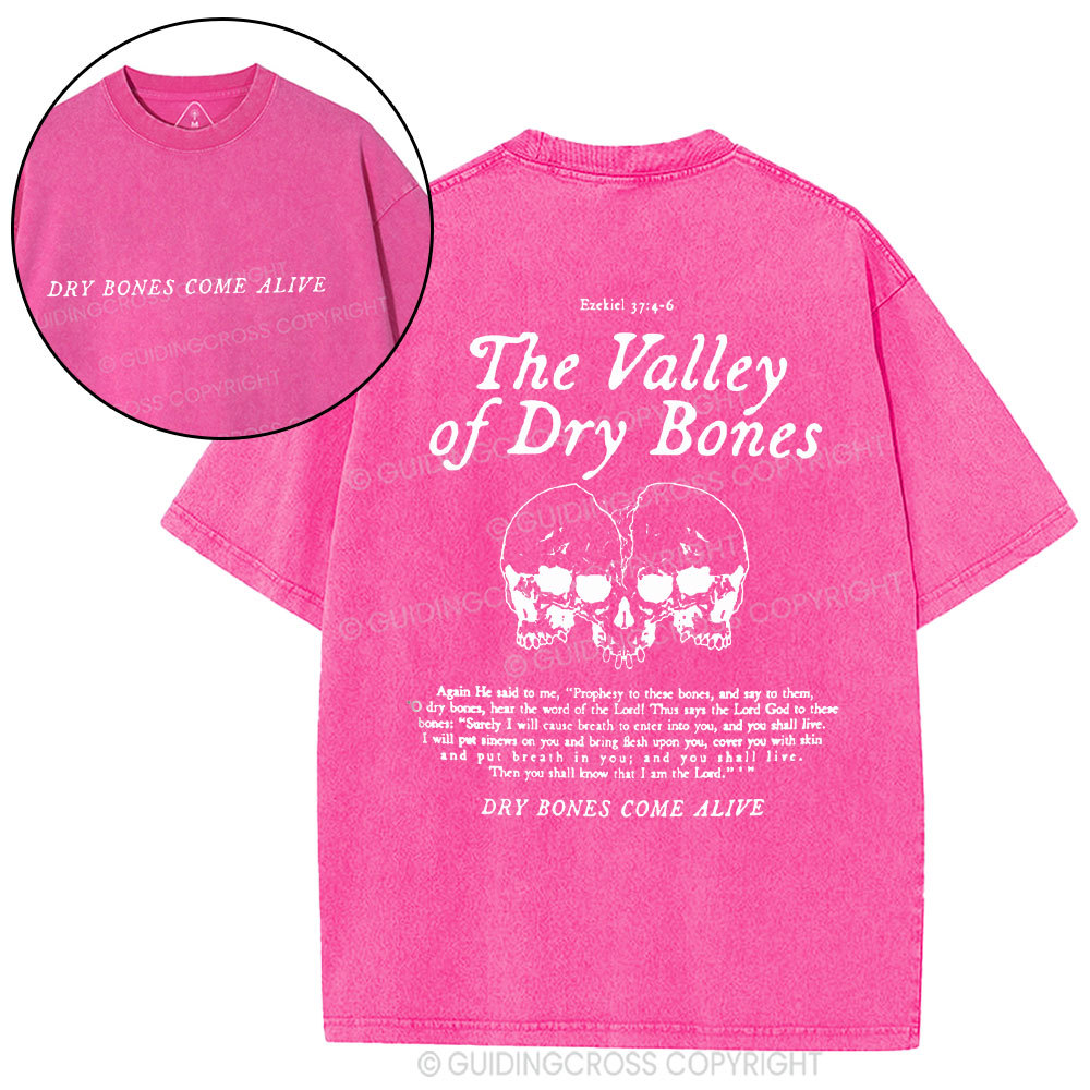 The Valley Of Dry Bones Christian Washed T-Shirt