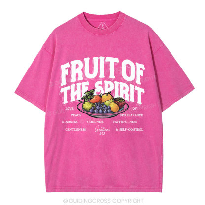 Fruit Of The Spirit Christian Washed T-Shirt