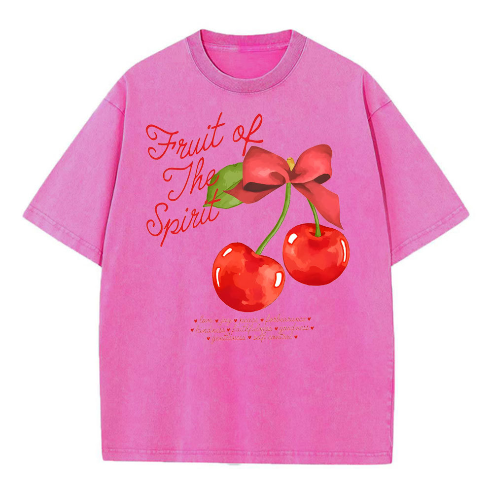 Fruit Of Spirit Christian Washed T-Shirt