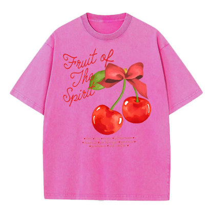Fruit Of Spirit Christian Washed T-Shirt
