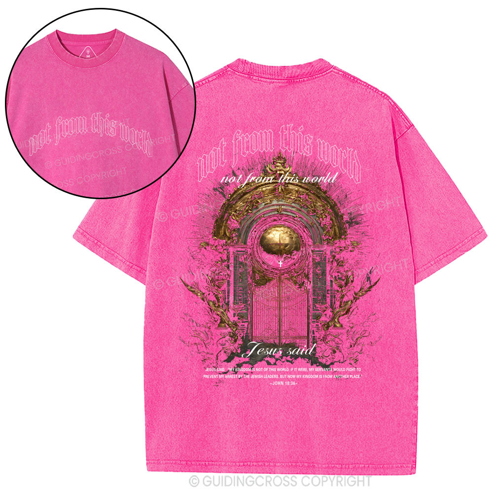 Not From This World Christian Washed T-Shirt