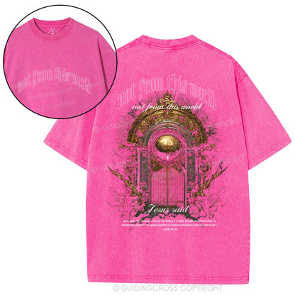 Not From This World Christian Washed T-Shirt