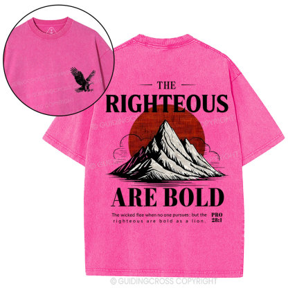 The Righteous Are Bold Chrsitian Washed T-Shirt