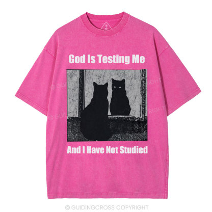 God Is Testing Me And I Have Not Studied Christian Washed T-Shirt