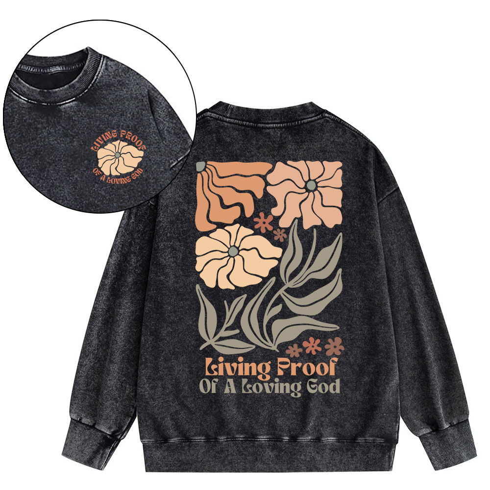 Living Proof Of A Loving God Christian Washed Sweatshirt