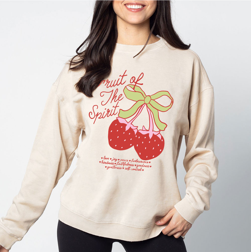 Fruit Of The Spirit Christian Washed Sweatshirt