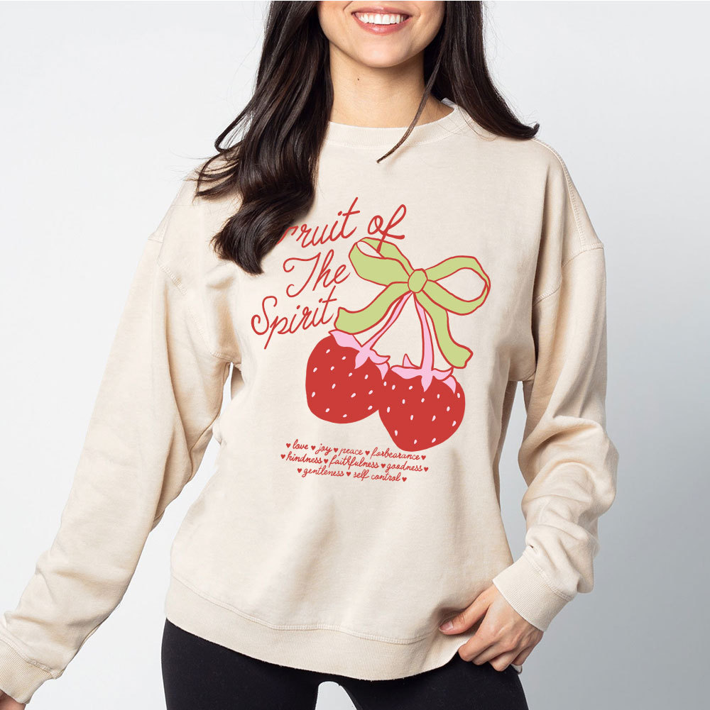 Fruit Of The Spirit Christian Washed Sweatshirt