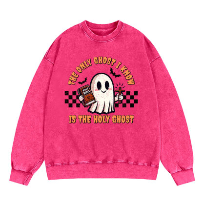 The Only Ghost I Know Is The Holy Ghost Christian Washed Sweatshirt