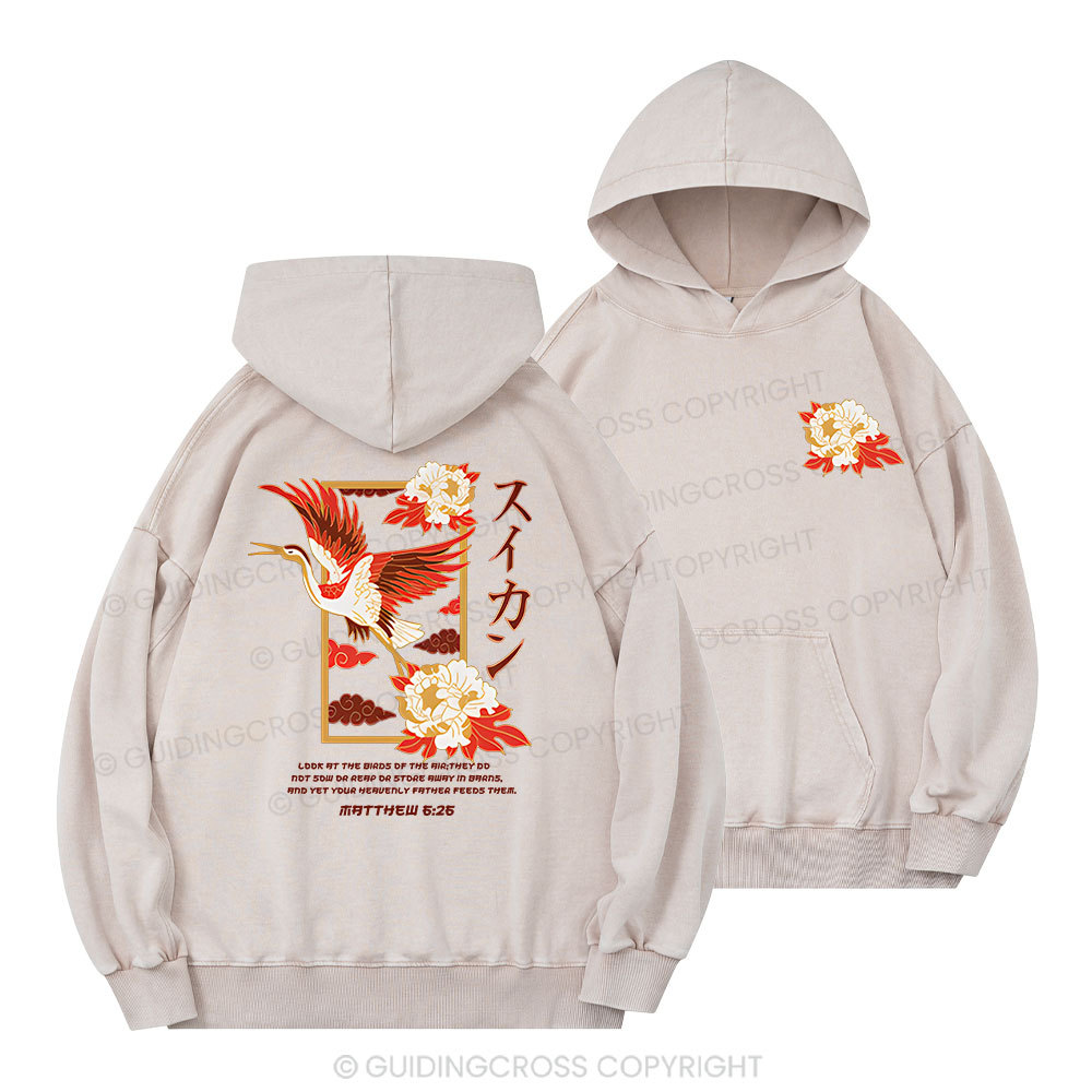 Look At The Birds Christian Washed Hoodie