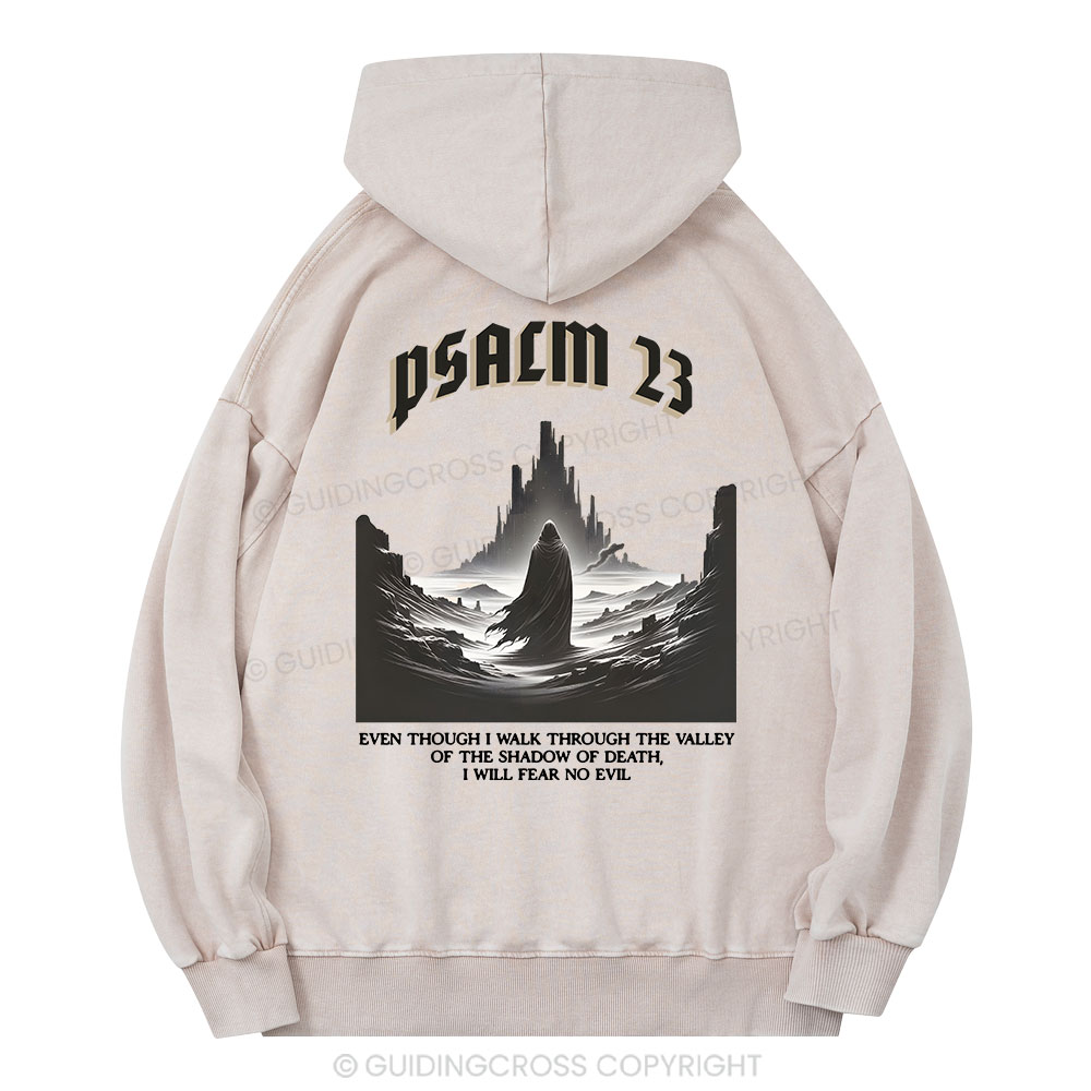 Psalm Christian Washed Hoodie