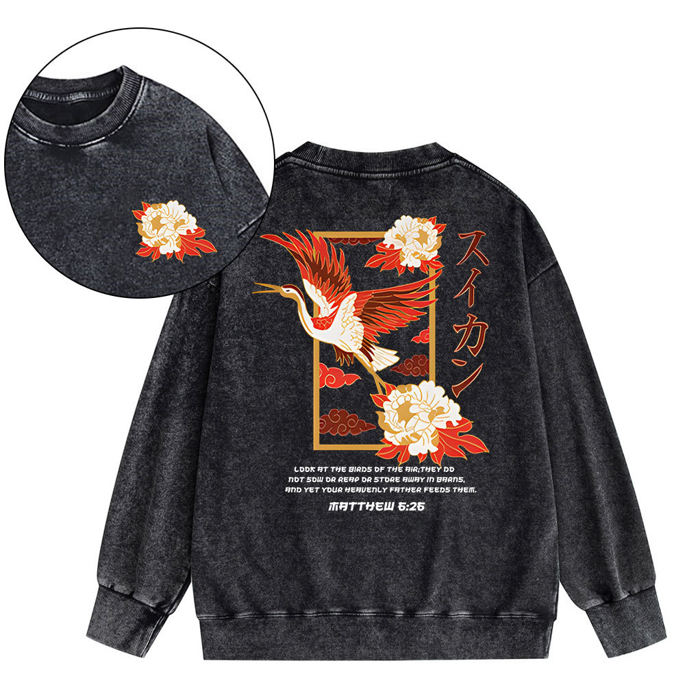 Look At The Birds Christian Washed Sweatshirt