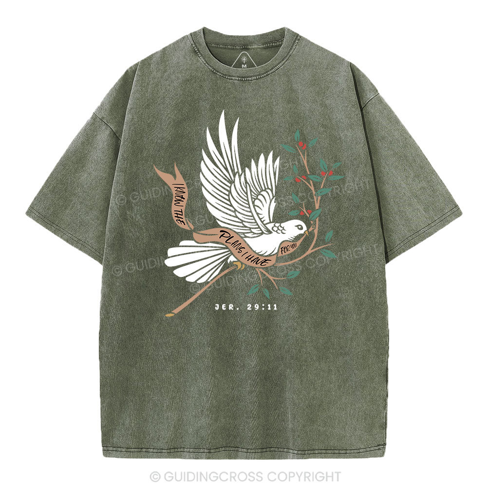 I Know The Plans I Have For You Christian Washed T-Shirt