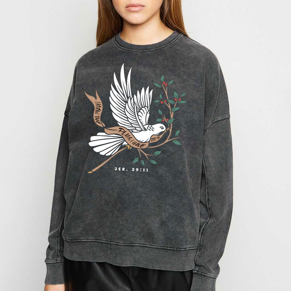 I Know The Plans I Have For You Christian Washed Sweatshirt