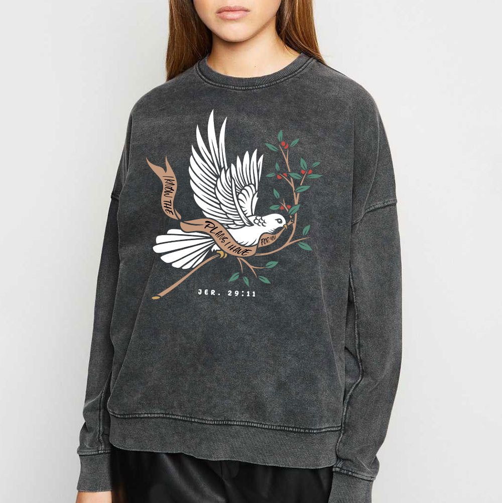 I Know The Plans I Have For You Christian Washed Sweatshirt