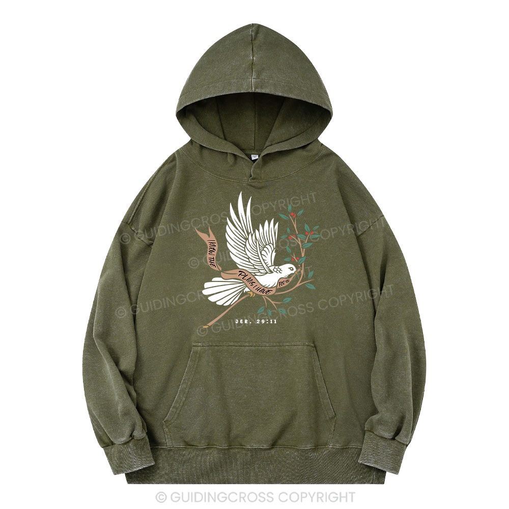I Know The Plans I Have For You Christian Washed Hoodie