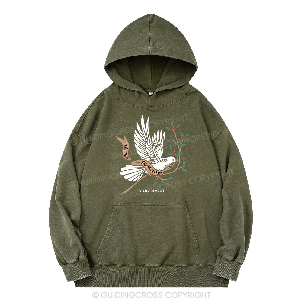 I Know The Plans I Have For You Christian Washed Hoodie