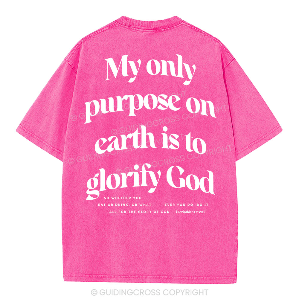 My Only Purpose Christian Washed T-Shirt
