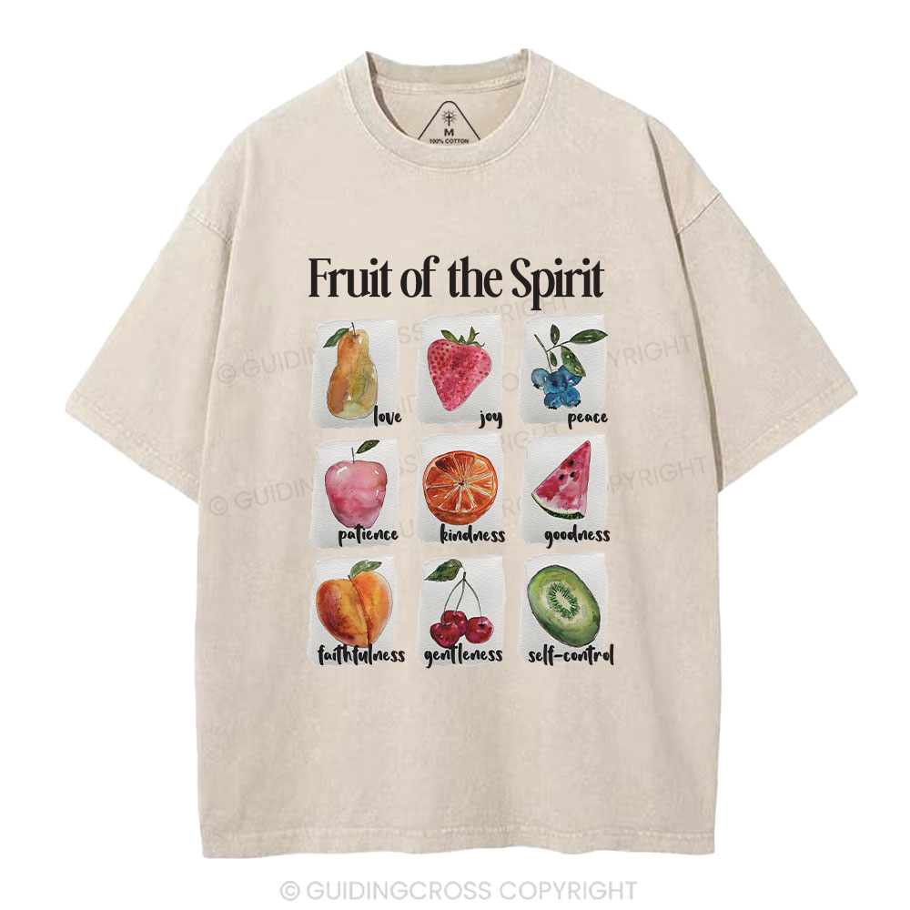 Fruit Of The Spirit Christian Washed T-Shirt