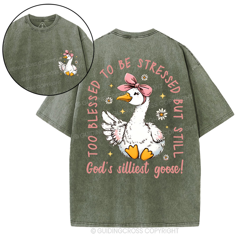 God's Silliest Goose Christian Washed T-Shirt