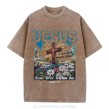 Jesus Lives Within Me Christian Washed T-Shirt