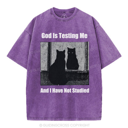 God Is Testing Me And I Have Not Studied Christian Washed T-Shirt