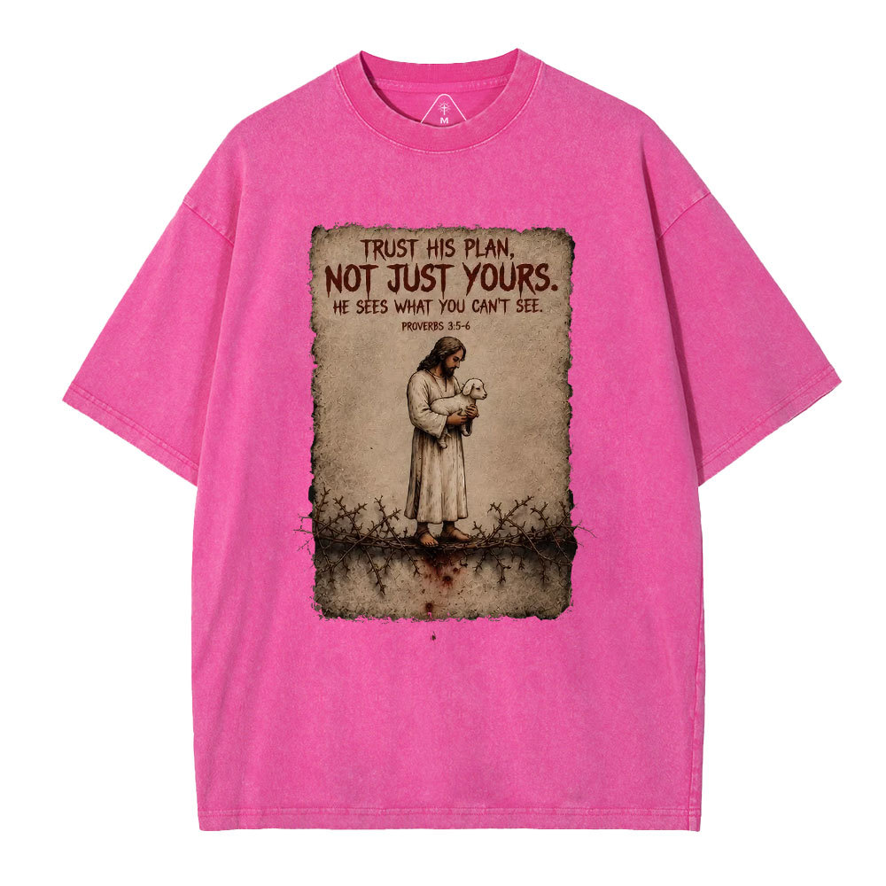 Trust His Plan Christian Washed T-Shirt