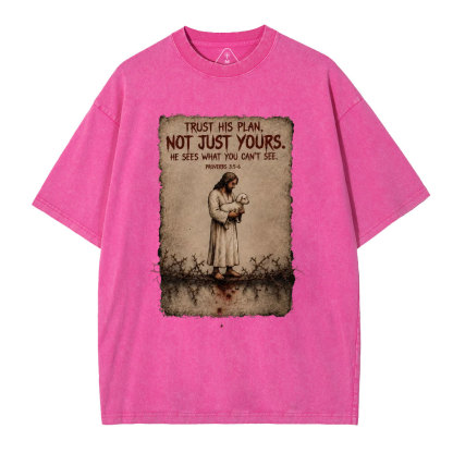Trust His Plan Christian Washed T-Shirt