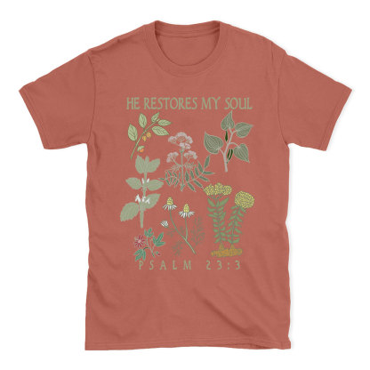 He Restores My Soul Christian T-Shirt