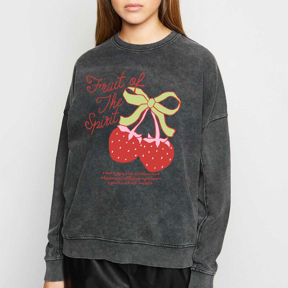 Fruit Of The Spirit Christian Washed Sweatshirt