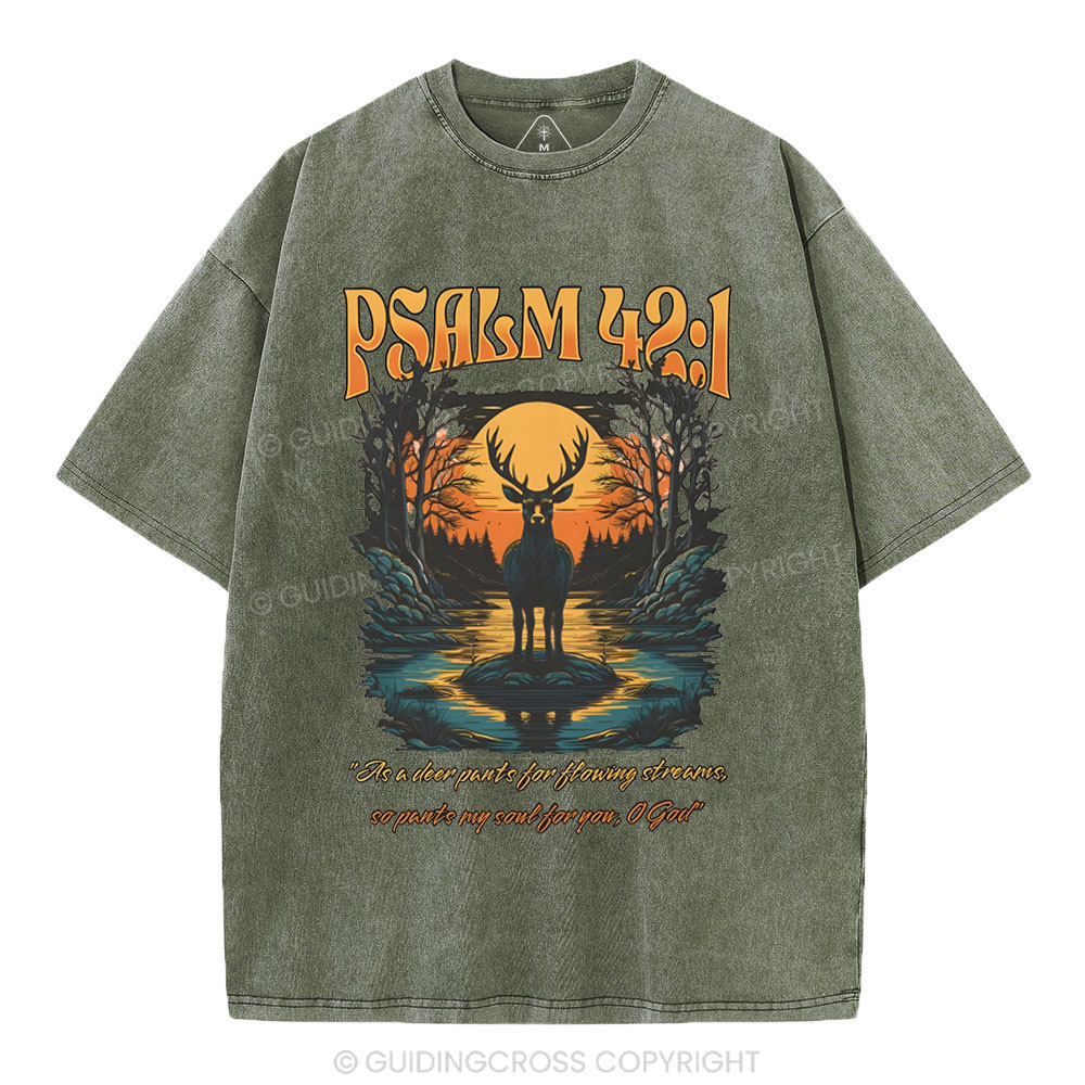 As A Deer Pants Chirstian Washed T-Shirt