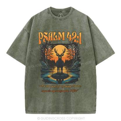 As A Deer Pants Chirstian Washed T-Shirt