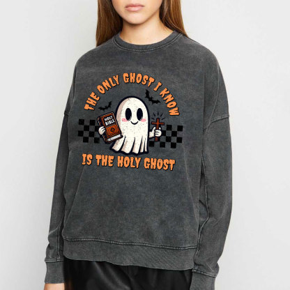 The Only Ghost I Know Is The Holy Ghost Christian Washed Sweatshirt