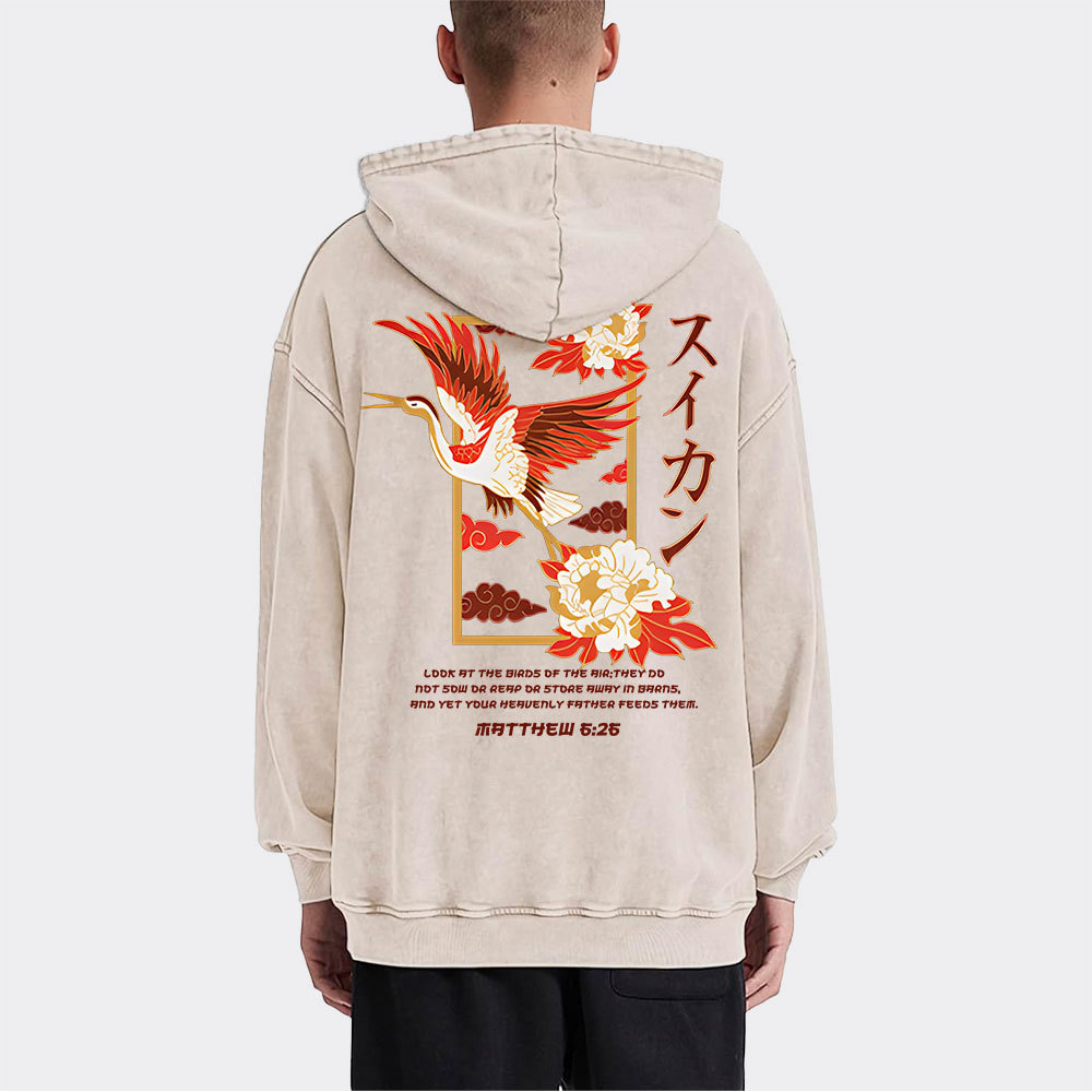 Look At The Birds Christian Washed Hoodie