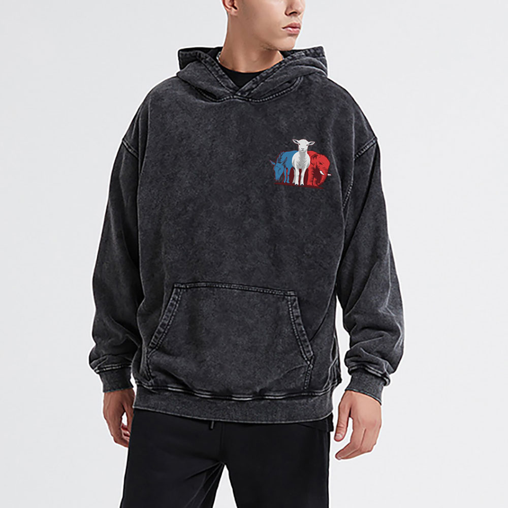 My Hope Is In The Lamb Christian Washed Hoodie
