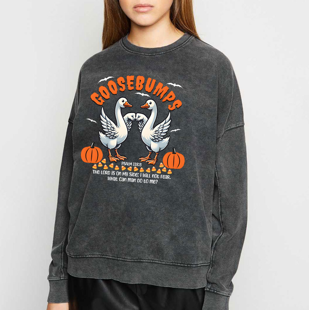 Goosebumps Christian Washed Sweatshirt