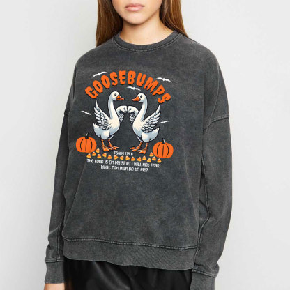 Goosebumps Christian Washed Sweatshirt