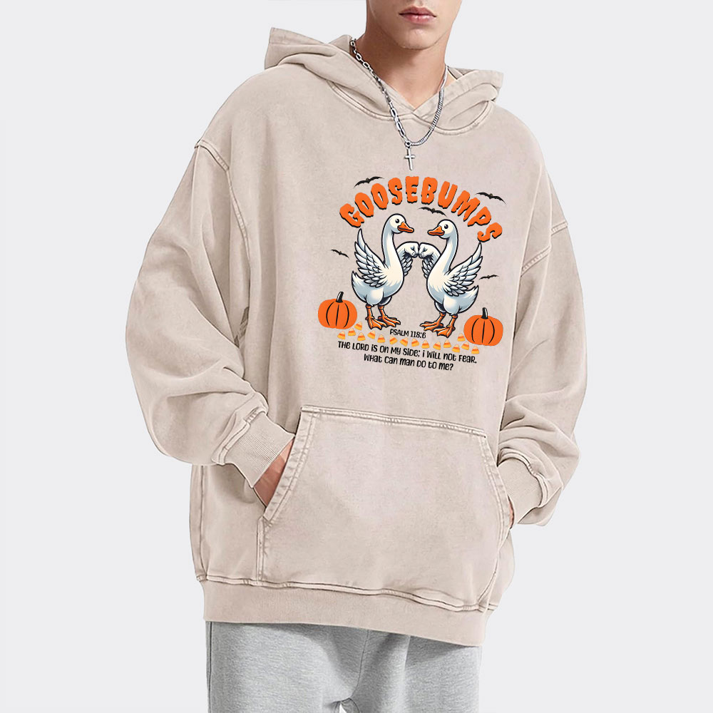 Goosebumps Christian Washed Hoodie